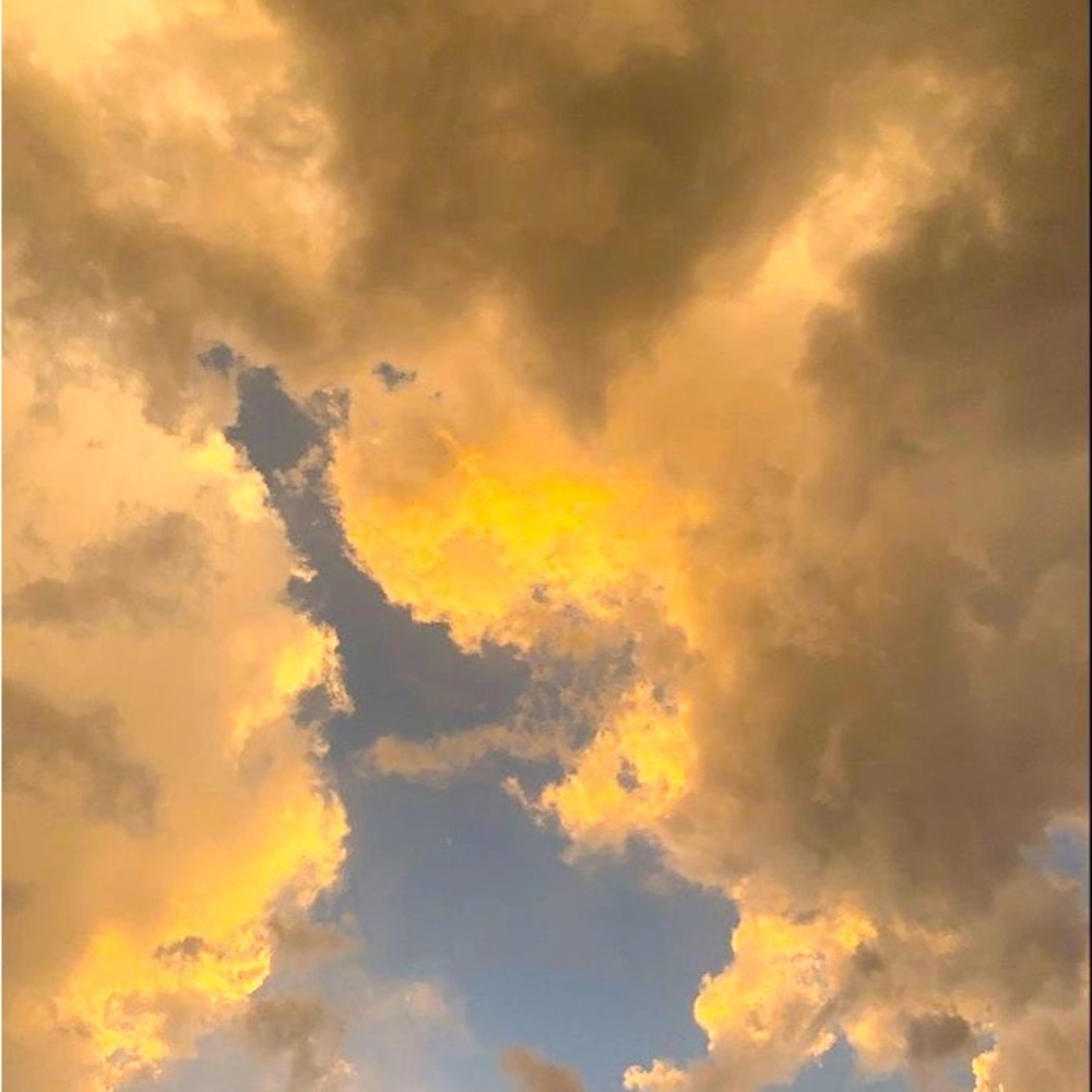 Meet your Posher, Cressa